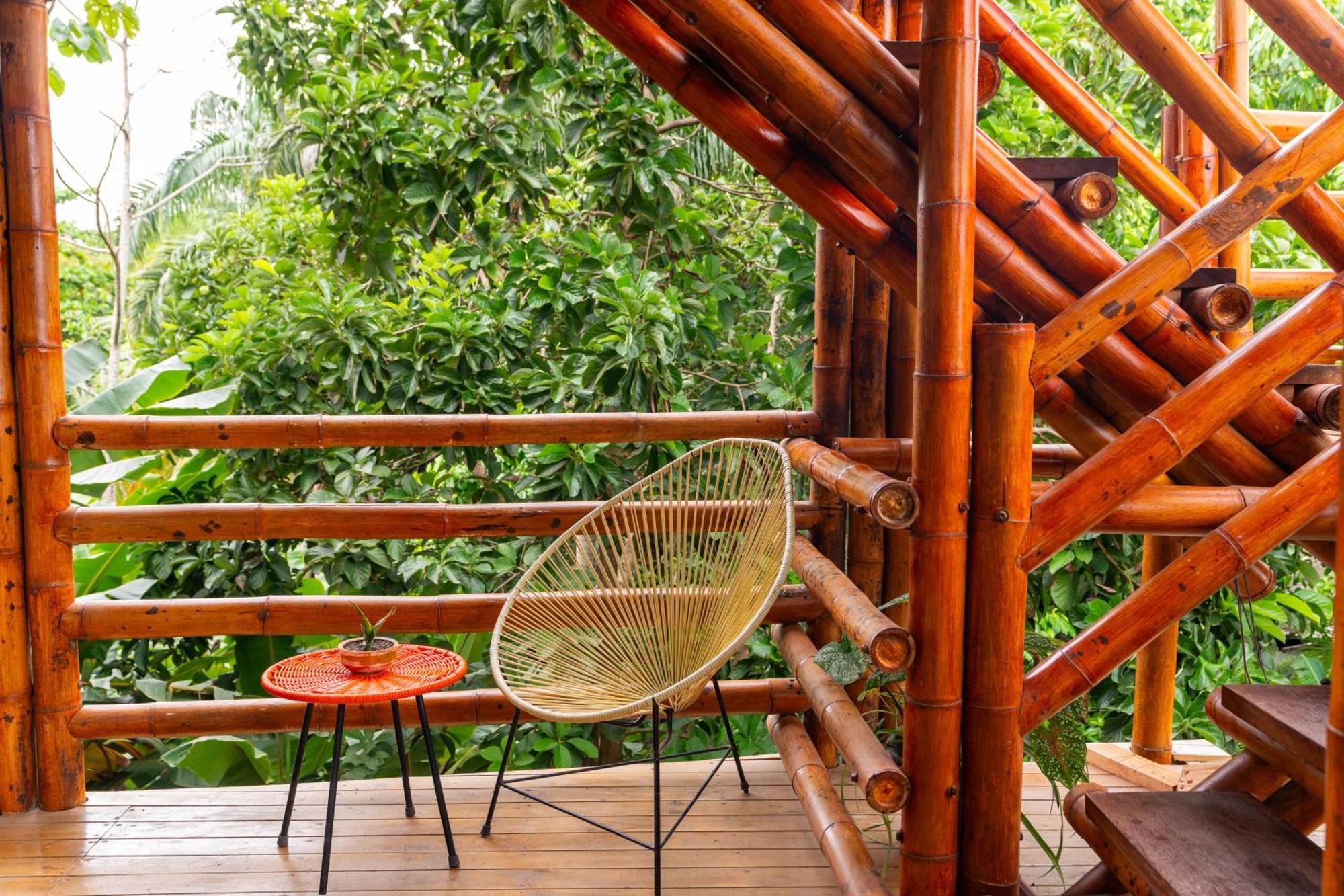 לוס נרנחוס Tayrona Juanchos House Hostel מראה חיצוני תמונה